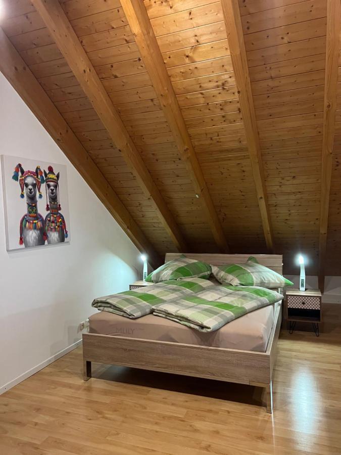 Ferienwohnung Zentral In Loerrach - Konus Gaestekarte Inklusive Exterior photo